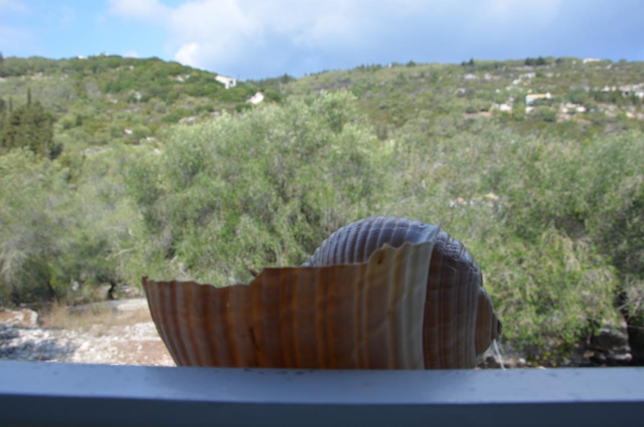 Villa Clementine Gaios Exteriér fotografie